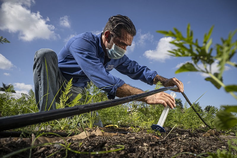 A person couches to collect a water sample from an irrigation line, among plants under blue sky with clouds