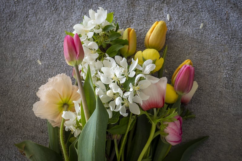 bouquet of flowers against grey background
