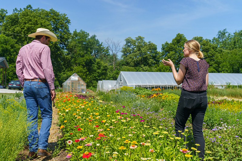 two people walk away down a row of flowers with high tunnels in the background