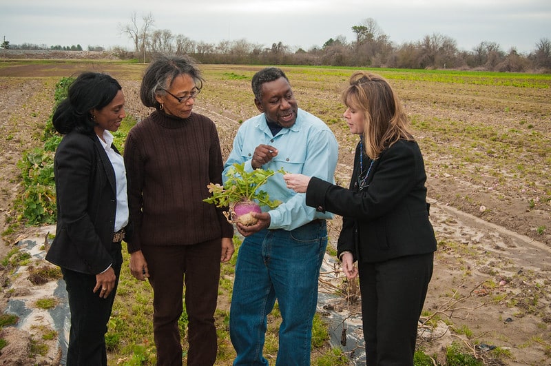four people stand in a farm field, looking at a turnip one of them is holding