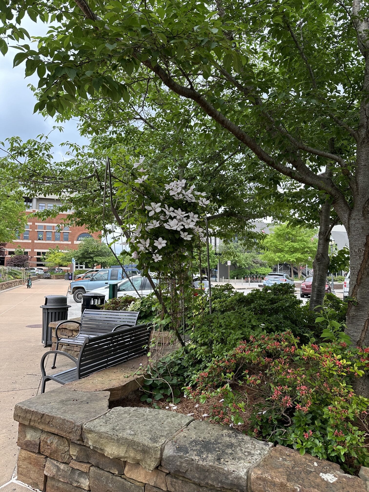 benches and flowerbeds with trees and plants along a downtown sidewalk