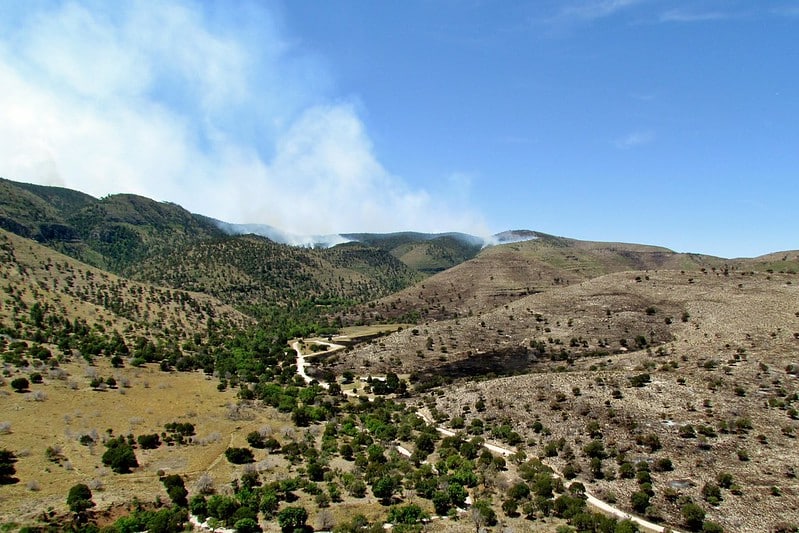 wildfire smoke over New Mexico forest land