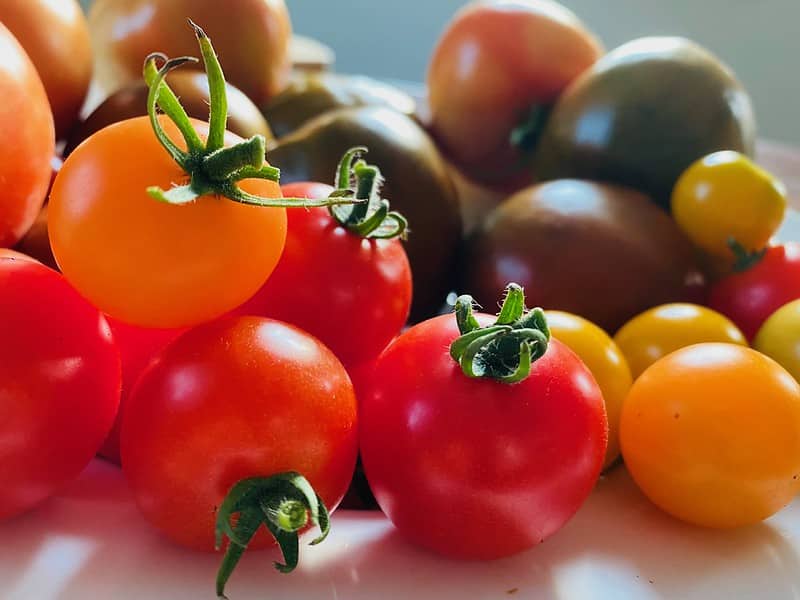 multicolored small tomatoes on display