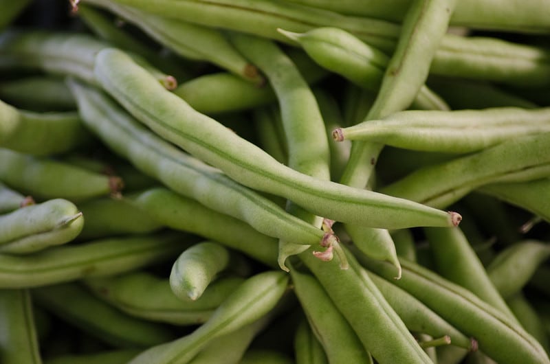 close up of harvested green beans