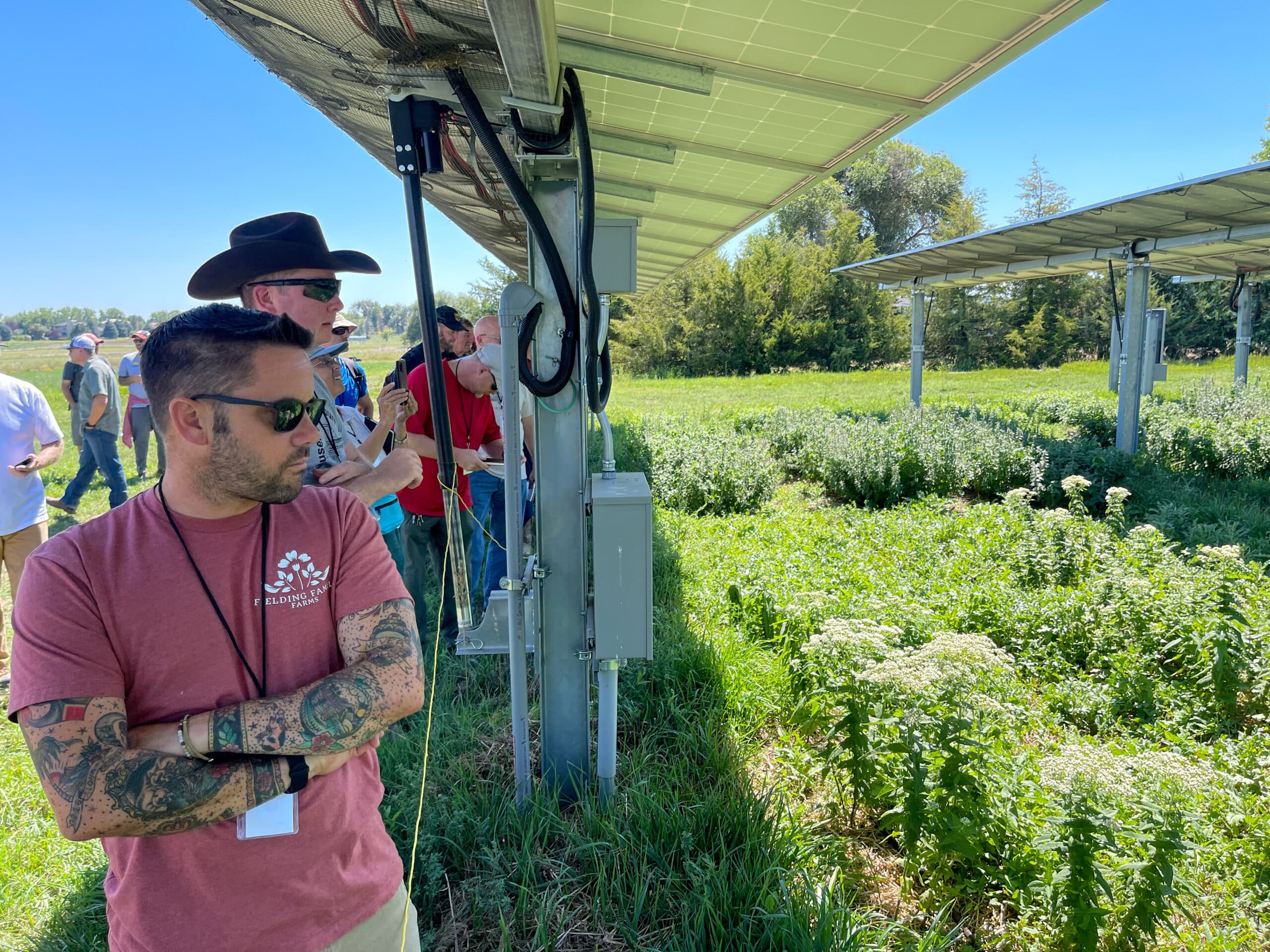 Hay gente al aire libre, entre las plantas, bajo los paneles solares