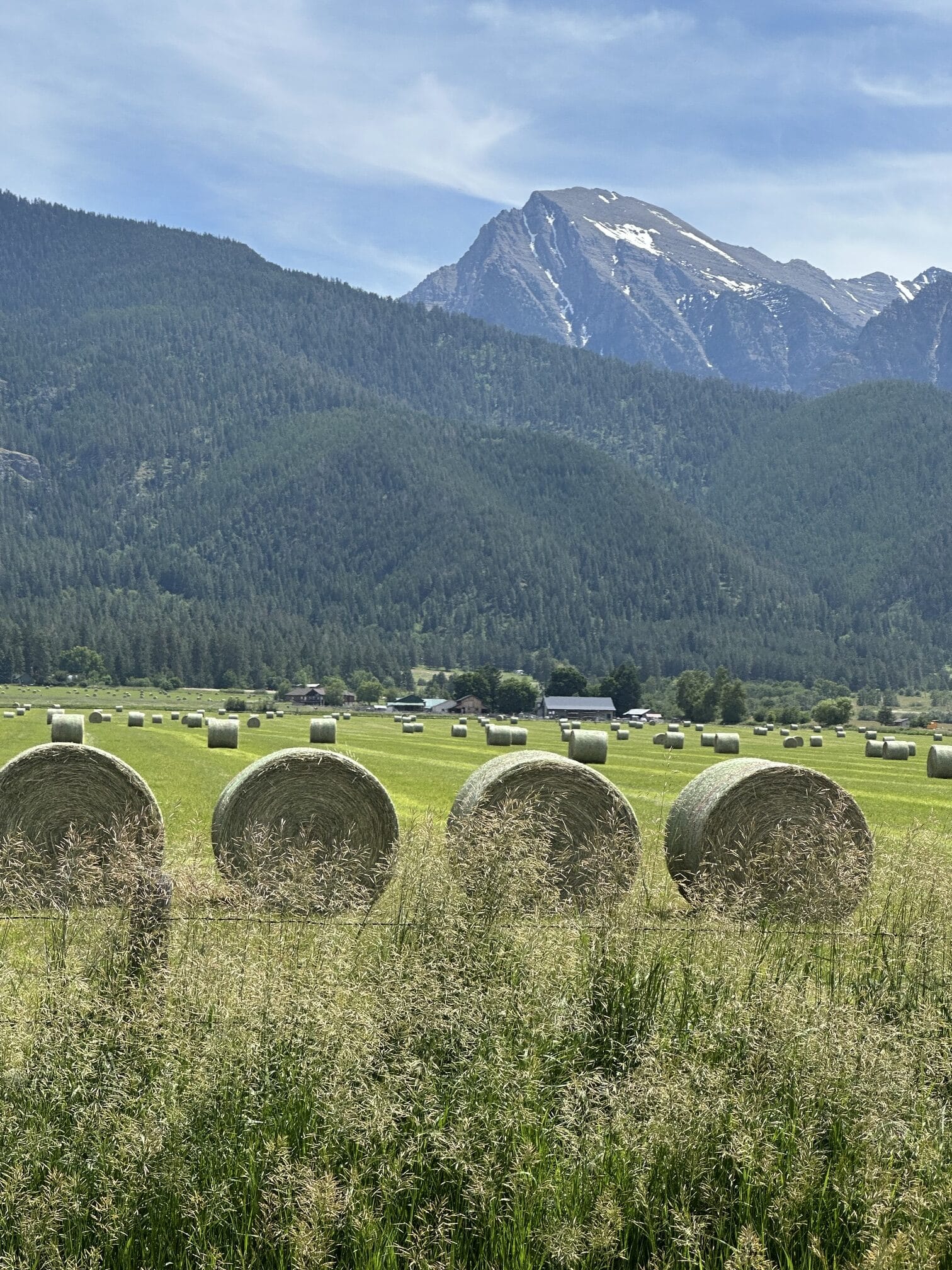fardos redondos de heno en un campo frente a las montañas