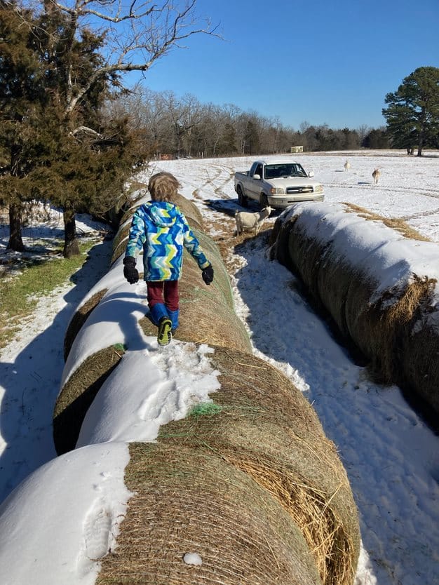child moving away over snow-covered round bales