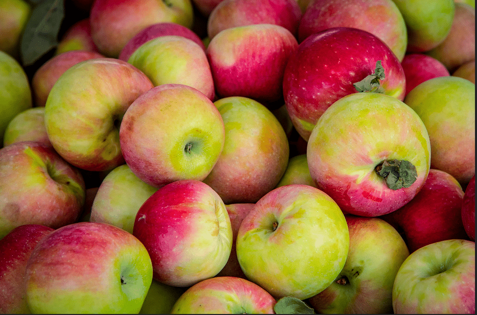 manzanas cosechadas