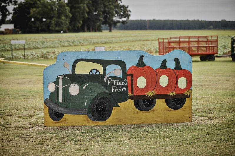 painted photo prop of pumpkin truck, at a pumpkin patch